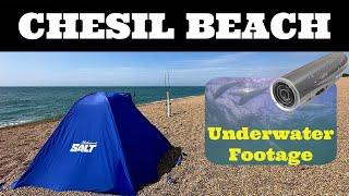 Summer Cod Fishing ABBOTSBURY | Underwater Footage - CHESIL BEACH