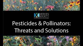 Pesticides & Pollinators Threats and Solutions
