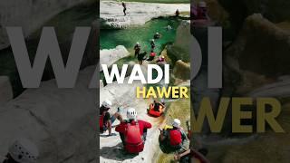 Oman's wadi Hawer #nature #contentcreator #video #adventure #travel #waterfall #watersport