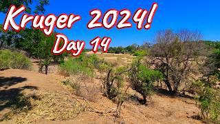 Day 14 – Kruger National Park! S1 – Ep 554