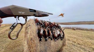 Pheasant Hunting with a Lever Action Shotgun!