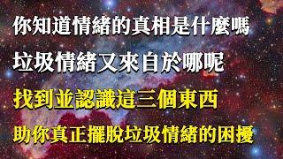 你知道情緒的真相是什麼嗎？垃圾情緒又來自於哪呢？找到並認識這三個東西，助你真正擺脫垃圾情緒的困擾！#能量#業力#宇宙#精神#提升 #靈魂 #財富 #認知覺醒