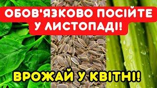 Сію ще 5 РОСЛИН, а в квітні збираю вітамінний врожай!