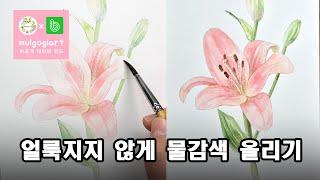 백합그리기 / 수채화 기초 온라인클래스 8기 모집