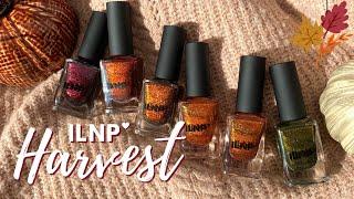 These Are absolute MAGIC!  ILNP Harvest Swatch + Review with Comparisons | @polished_yogi