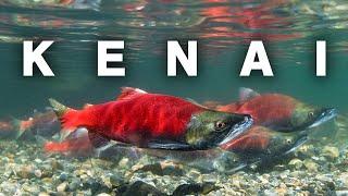 Salmon Fishing on the Kenai River | A Truly Alaskan Experience [S1-E17]