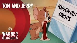 Tom and Jerry | Quiet Please! (1945 Full Episode) | Warner Classics