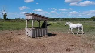 A Birds Eye View of Royale Equestrian Centre