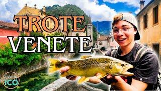 MARMORATE e FARIO in CITTÀ?! Una GIORNATA di PESCA alla REGINA VENETA in compagnia di RICCARDO! (4K)