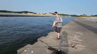 Pier Fishing Lake Michigan For Coho Salmon  