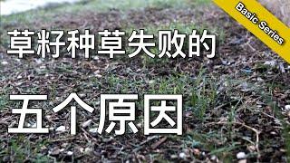 年年种草年年失败？ - 仔细观看本视频 让你不再浪费钱 - Why you failed to seed a lawn  | KK和Kathy 的后花园