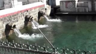 Bhagsunag Temple in Dharamshala India