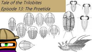 The Tale of the Trilobites Ep 13: The Proetida