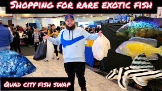 SHOPPING FOR RARE EXOTIC FISH AT BIGGEST FISH SWAP IN THE MID-WEST!