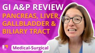 Pancreas, Liver, Gallbladder, Biliary Tract: A&P Review - Medical-Surgical (GI) | @LevelUpRN