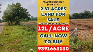 2.81 acres agriculture land for sale in andhrapradesh | best agriculture land in nellore district