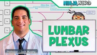 Neurology | Lumbar Plexus