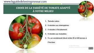 Conduite pratique de la culture de tomate