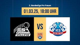 ESA Grimma Volleys – VCO Dresden (2. Volleyball Bundesliga Pro F 24/25)