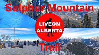 The BEST VIEWS of BANFF I have ever seen. Hiking the Sulphur Mountain Trail #canadianrockies