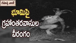 Mysterious Creatures in Adilabad Forest - Rahasyavaani Unknown Telugu Facts