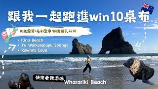 200台幣就能享受不插電紐西蘭海景露營️，WIN10桌布現場竟然有超多海豹寶寶【呆丸雅婷Cupy】