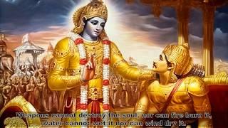 Nainam Chindanti Shastrani /  Gita 2:23/ Arya samaj/ vedic mantra/ hinduism/ soul