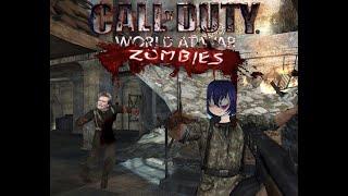 Call of Duty Zombies 1V1 (World at War) JOSHDW VS JUSTINDG!