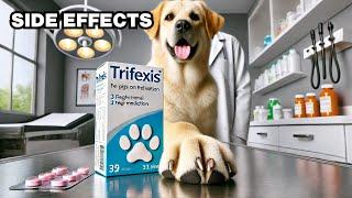 What Are The Side Effects Of Trifexis In Dogs? Explained