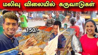 யாரும் ஏமாற வேண்டாம்  மலிவு விலையில் விற்கும் கருவாடுகள்  | Dry Fish