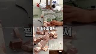 한국인들만 잘 모르는 사실들