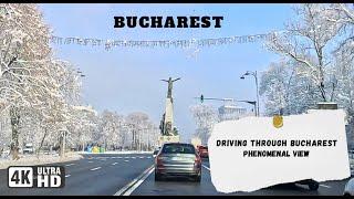 4K Snow-Kissed Bucharest | Beauty of Bulevard Aviatorilor in Snow Covered Trees