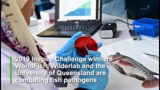 A New Concept for Rapid Genomic Detection of Fish Disease