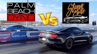 Can Mamba's 930whp beat an 1100whp 2020 GT500? // Stangmode vs Palmbeachdyno