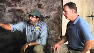 Educational Video Example