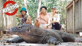 KE PULAU KOMODO MAHAL ?? KALIAN HARUS NONTON INI | One day trip 2022 | Komodo Island |