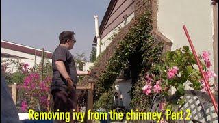 The Vlog Series- Removing Ivy off the chimney, Part 2