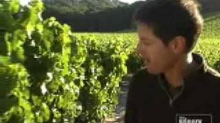 Saxum Vineyards - Winery Channel.tv - Paso Robles, CA