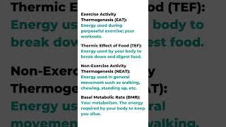 How Fat Loss Works (in 15 seconds!). The Key to a Fat Loss Transformation!