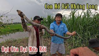 Con Hổ Đất Khủng Long Nó Nằm Giữa Gò Cỏ | Mười Thương SB
