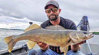 Chasing Bigs (Minnesota Walleyes in Clear Water)