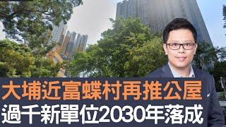 大埔近富蝶村再推公屋      過千新單位2030年落成！│招國偉