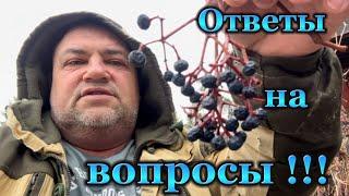 Ответы на вопросы !!!