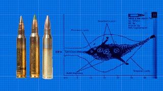 Picking the Best 5.56 Round