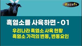 흑염소를 사육하면 01 흑염소 사육환경, 가격변동 및 변동요인은?