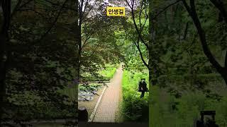 인생길     #강원도특별자치도 #춘천 #보경tv #김범룡 #인생길 #봉평#허브 #농원 #봉숭아학당 #봉당tv
