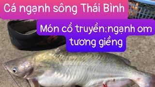 Món Cá ngạnh om tương giềng,cổ truyền trên cả tuyệt vời