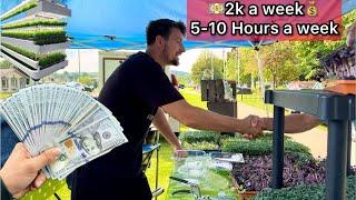 Master Microgreens Farmer PROVES How to Make Money Growing Microgreens Business at Farmers Market