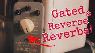 This Budget Pedal has GATED and REVERSE REVERBS!