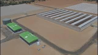 Global Farms - Al Wathba Farm, Abu Dhabi